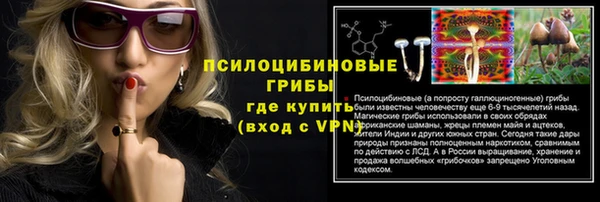 Альфа ПВП Алзамай