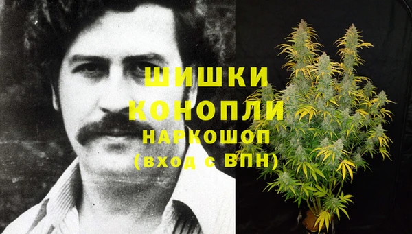Альфа ПВП Алзамай