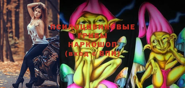 ПСИЛОЦИБИНОВЫЕ ГРИБЫ Ростов